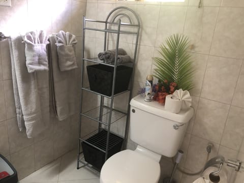 Shower, hair dryer, towels, toilet paper