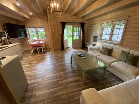 Main living area with Leather sofas