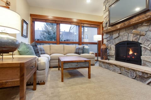 Living area | TV, fireplace, DVD player