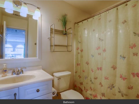 Combined shower/tub, hair dryer, towels