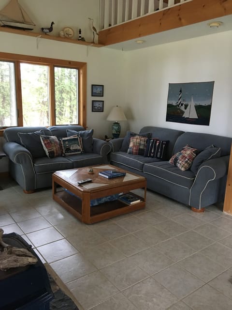 TV, fireplace, books