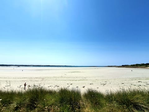 On the beach