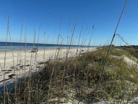 On the beach, sun loungers, beach towels