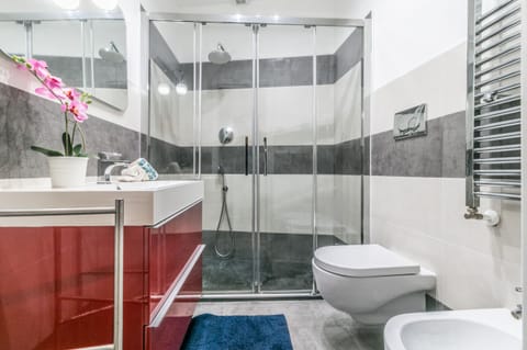 Shower, hair dryer, bidet, towels