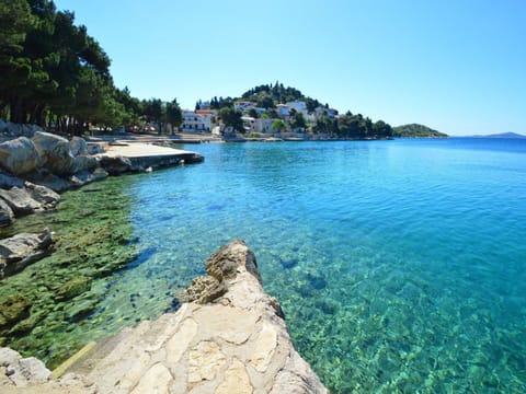 Table, Plant, Furniture, Umbrella, Building, Outdoor Table, Outdoor Furniture, Shade, Tree, Chair