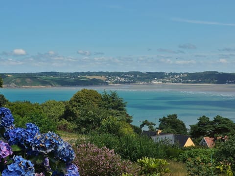 Water, Sky, Cloud, Flower, Plant, Azure, Vegetation, Lake, Tree, Coastal And Oceanic Landforms
