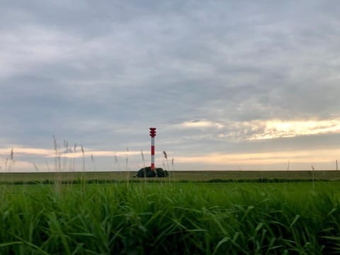 Area that directly surrounds the property