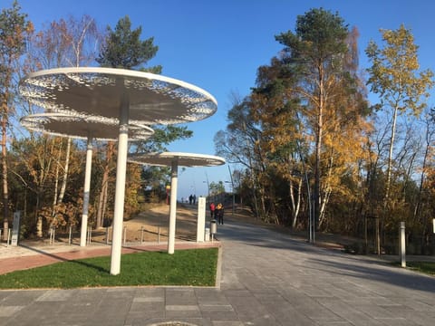 Area that directly surrounds the property