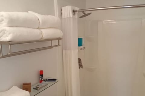 Combined shower/tub, hair dryer, towels