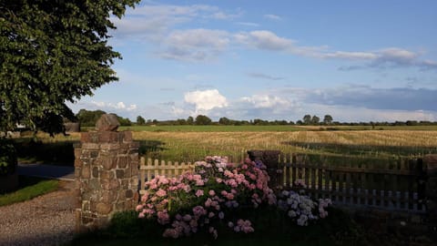 View from the window