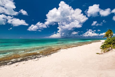 On the beach