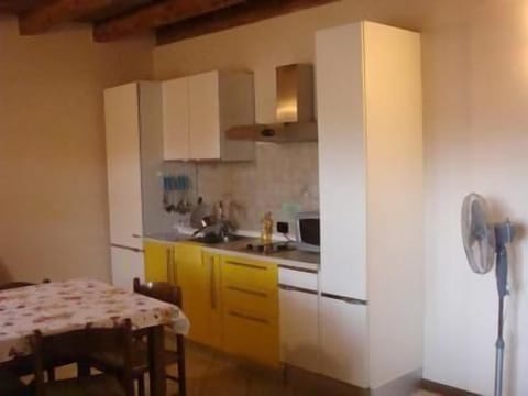 kitchen apartment ficus