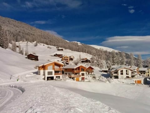 The Chalet-Davos is located in a small group of chalets on the outskirts of Davos-Glaris.