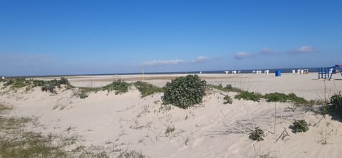 Beach nearby, sun loungers