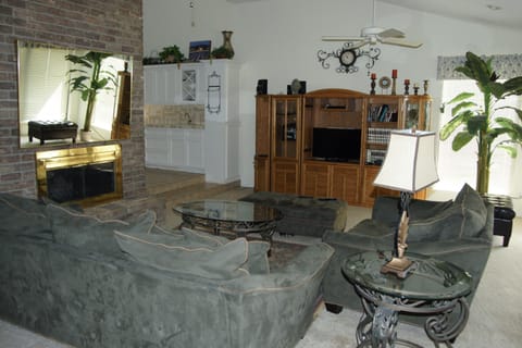 Living room | TV, fireplace