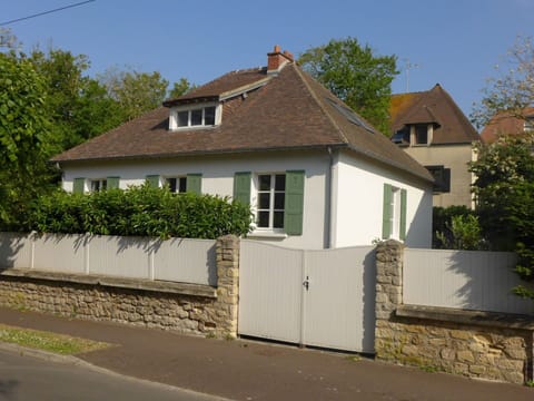 Plant, Sky, Building, Window, House, Tree, Road Surface, Asphalt, Wood