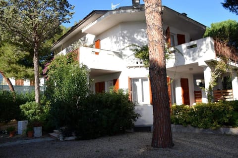 The house from the garden