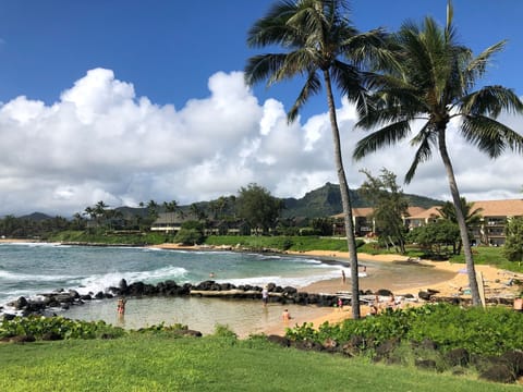 Beach nearby, sun loungers, beach towels