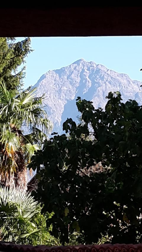 View from the window