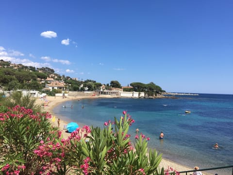 Beach nearby, sun loungers