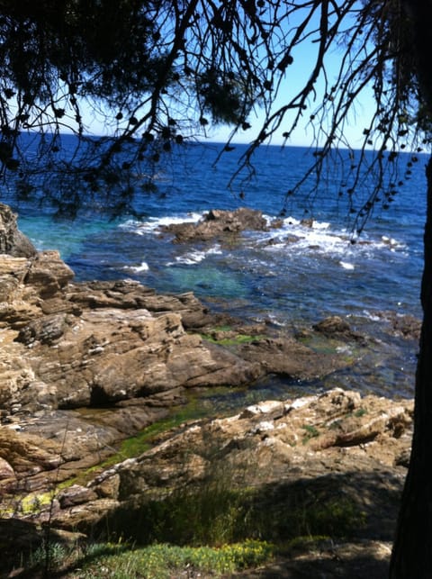 Beach nearby, sun loungers