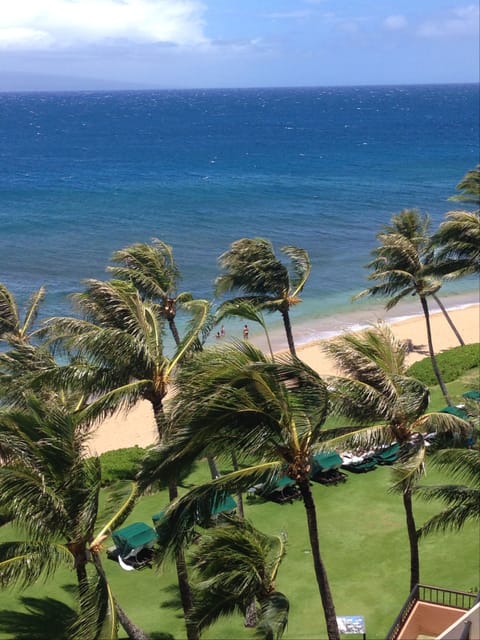 Sun loungers, beach towels