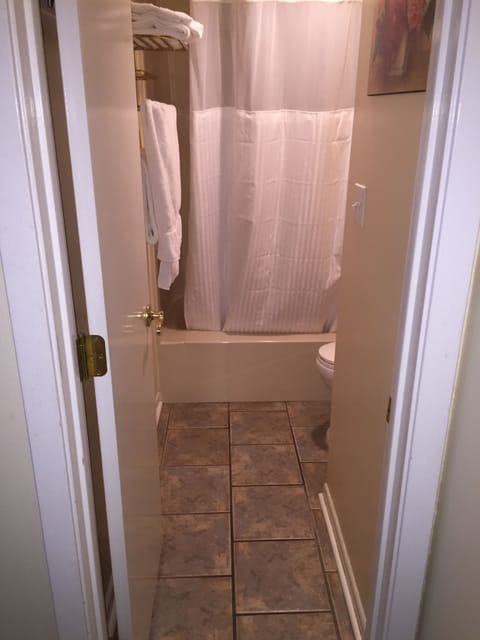 Combined shower/tub, hair dryer, towels, soap