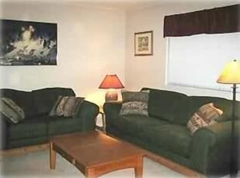 TV, fireplace, DVD player, stereo