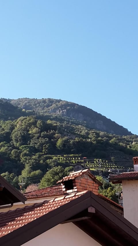 View from the window