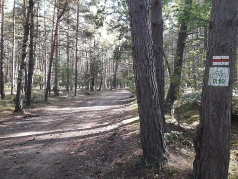 Area that directly surrounds the property