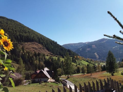 Area that directly surrounds the property