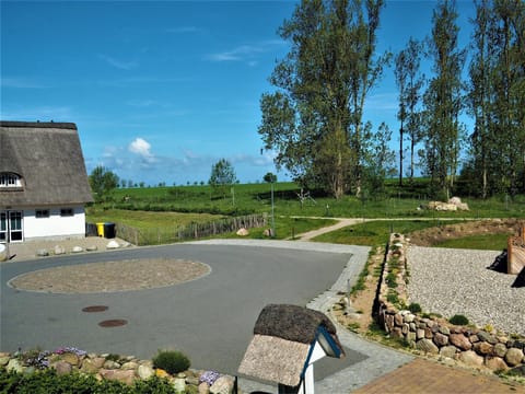 View from the window