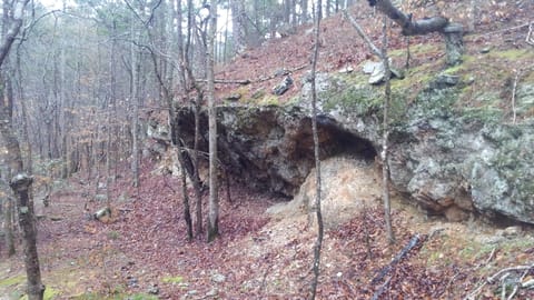 Ouachita National Forest just a few miles east of our house.