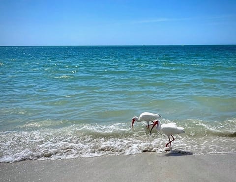 Beach nearby, beach towels