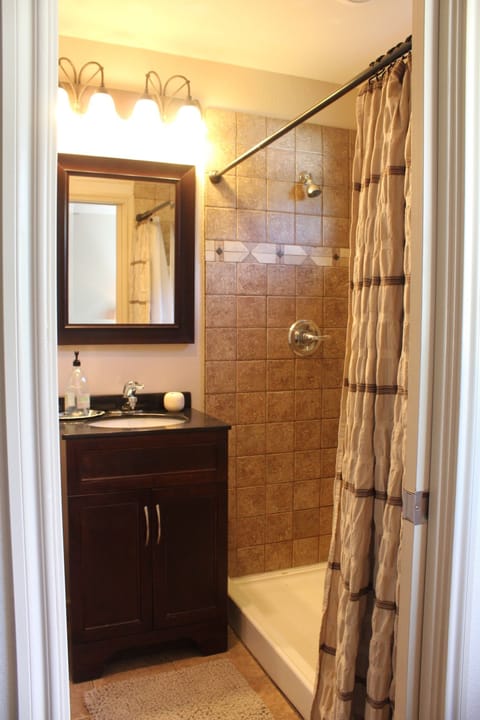 Combined shower/tub, hair dryer, bidet, towels