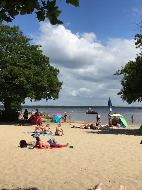 Beach nearby, sun loungers