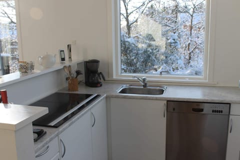 Microwave, dishwasher, coffee/tea maker, highchair