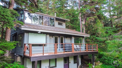 The cabin is nestled into a mature forest of hemlock and spruce trees. 