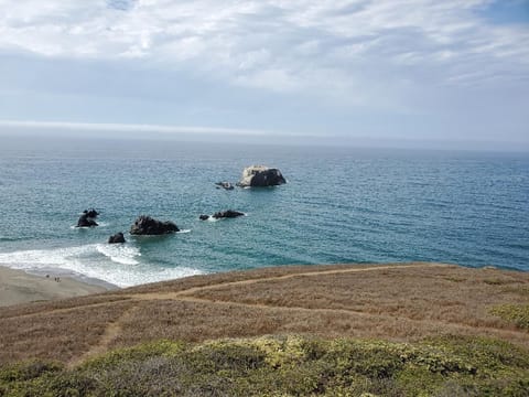 Goat Rock Beach Sonoma Coast State Park, 20 minute drive from the house