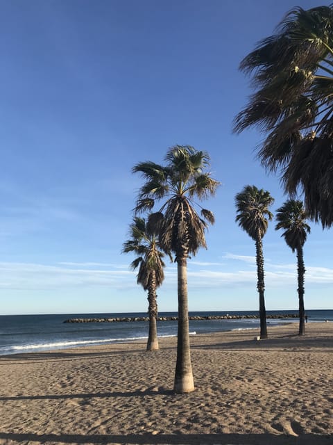 Sun loungers, beach towels