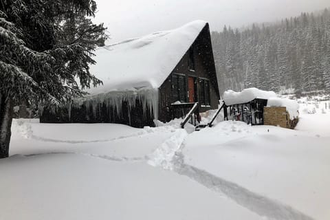 “Powder Day” at The Cabin 