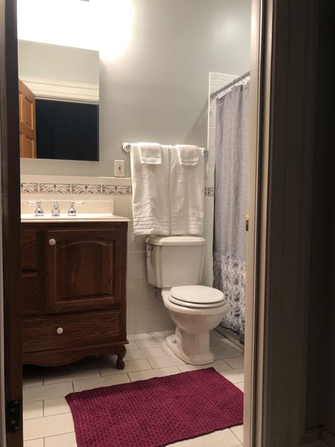 Combined shower/tub, hair dryer, towels