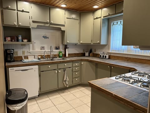 Large kitchen with dishwasher
