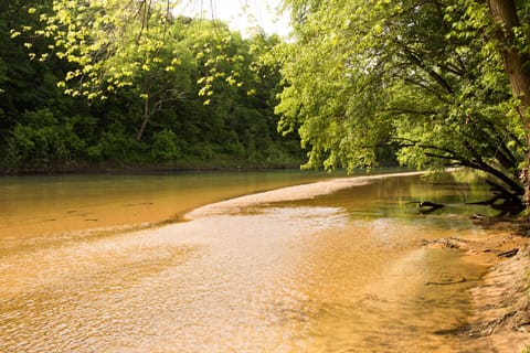 River looking right (upstream) at access