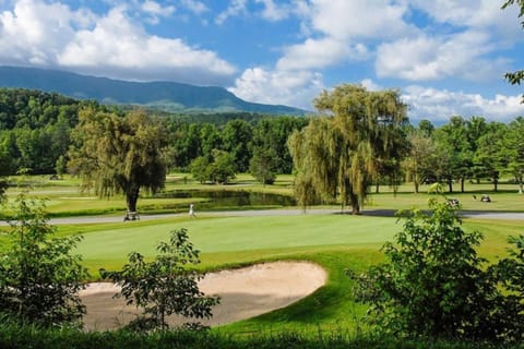 Situated at the gateway to the stunning Bent Creek Golf Course, Cobbly Nob Resort offers a prime location amidst the breathtaking Great Smoky Mountain