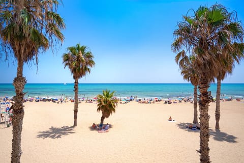 On the beach, sun loungers