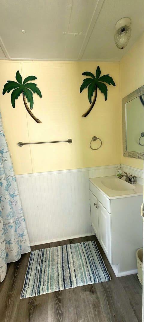 Combined shower/tub, hair dryer, towels, toilet paper