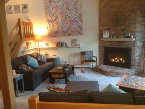 TV, fireplace, books, stereo