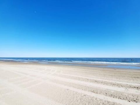 On the beach