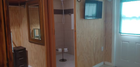 Combined shower/tub, hair dryer, towels